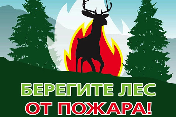 Берегите лес от огня! Берегите лес от огня!