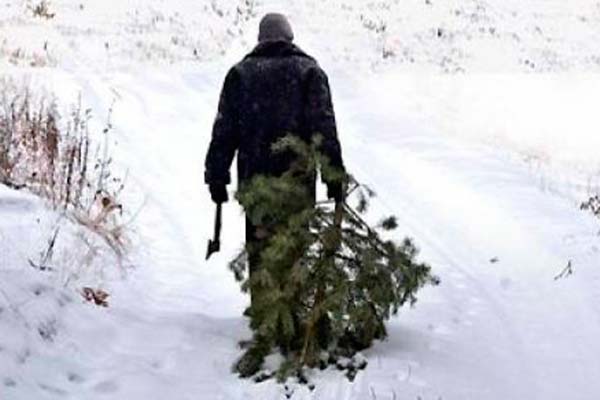 Борьба с браконьерами Борьба с браконьерами