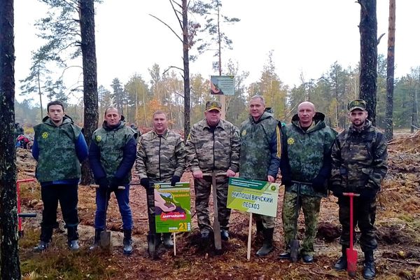 Итоги акции «Аднавiм лясы разам!» Итоги акции «Аднавiм лясы разам!»